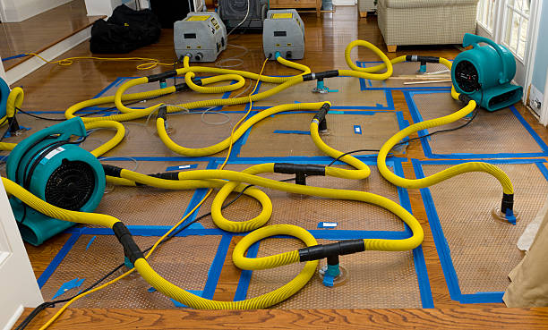 Professional Water Damage Repair technician working in Grimsley, TN
